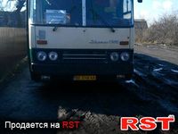 IKARUS 256