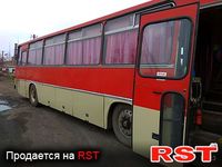 IKARUS 256