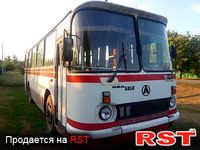 ЛАЗ 695