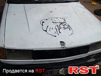PEUGEOT 305
